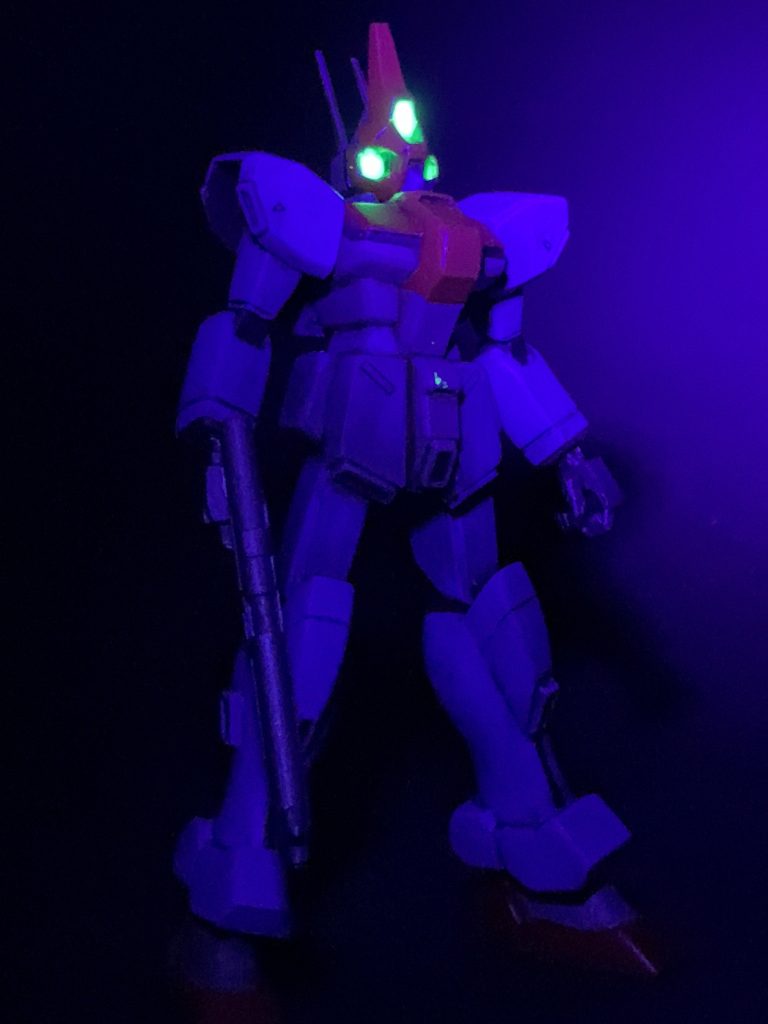 ブラックライトアオリ