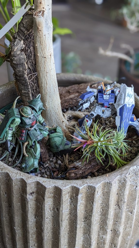 シーズンオフはこんな感じです(^^)