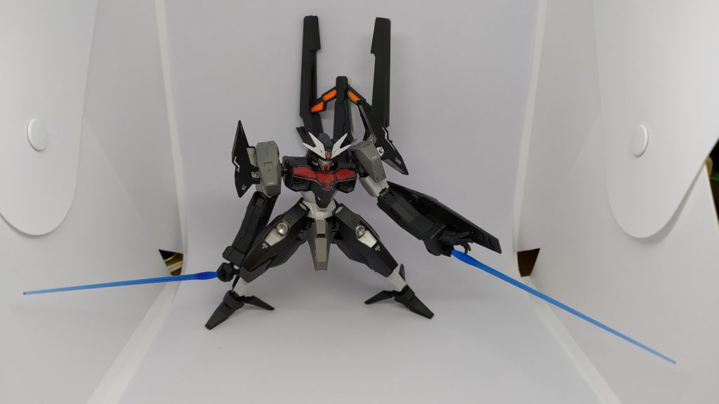 一応ポージング的な