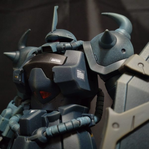 MG グフ･カスタム