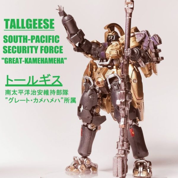 南太平洋治安維持部隊”ｸﾞﾚｰﾄｶﾒﾊﾒﾊ”所属トールギス〈アーティファクト〉