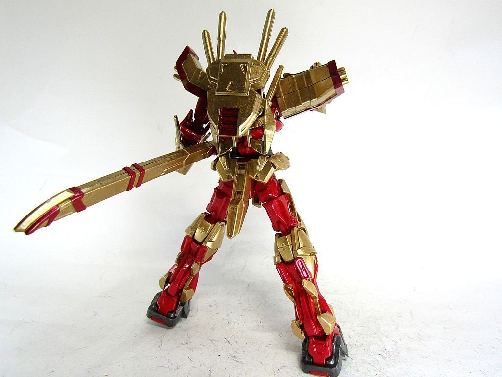 後ろから。バックパックが二重になっています。バックパックの凹部分にコアランダーが挟まるように削ってはめてます。