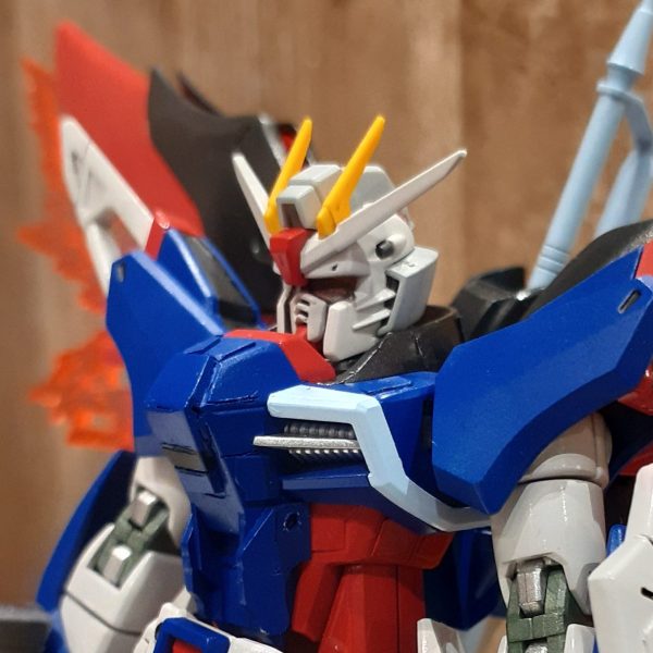 デスティニーフリーダ～ム…