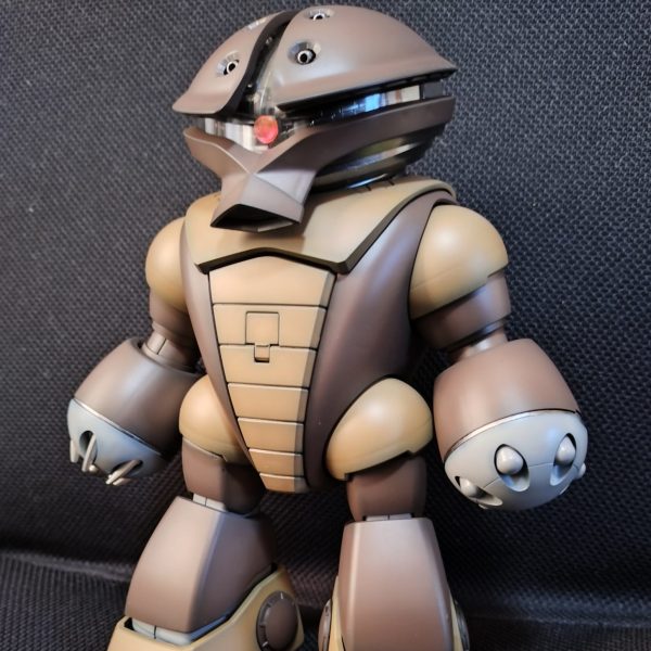 数年前に組み立てたMGアッガイをお色直ししたモノ