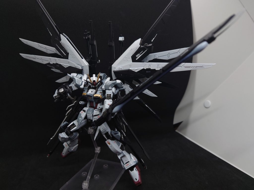 カリギュラ(アロンダイト)の抜刀状態メッチャ重い…(笑)