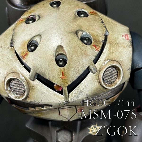 HGUC シャア専用ズゴック
