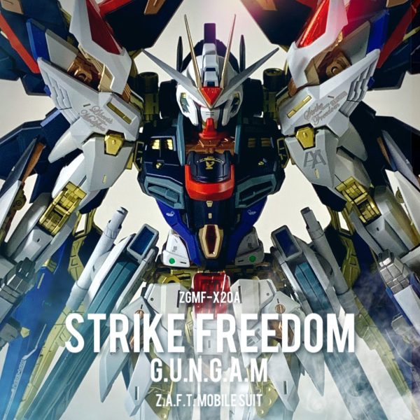 ZGMF-X20A ストライクフリーダム