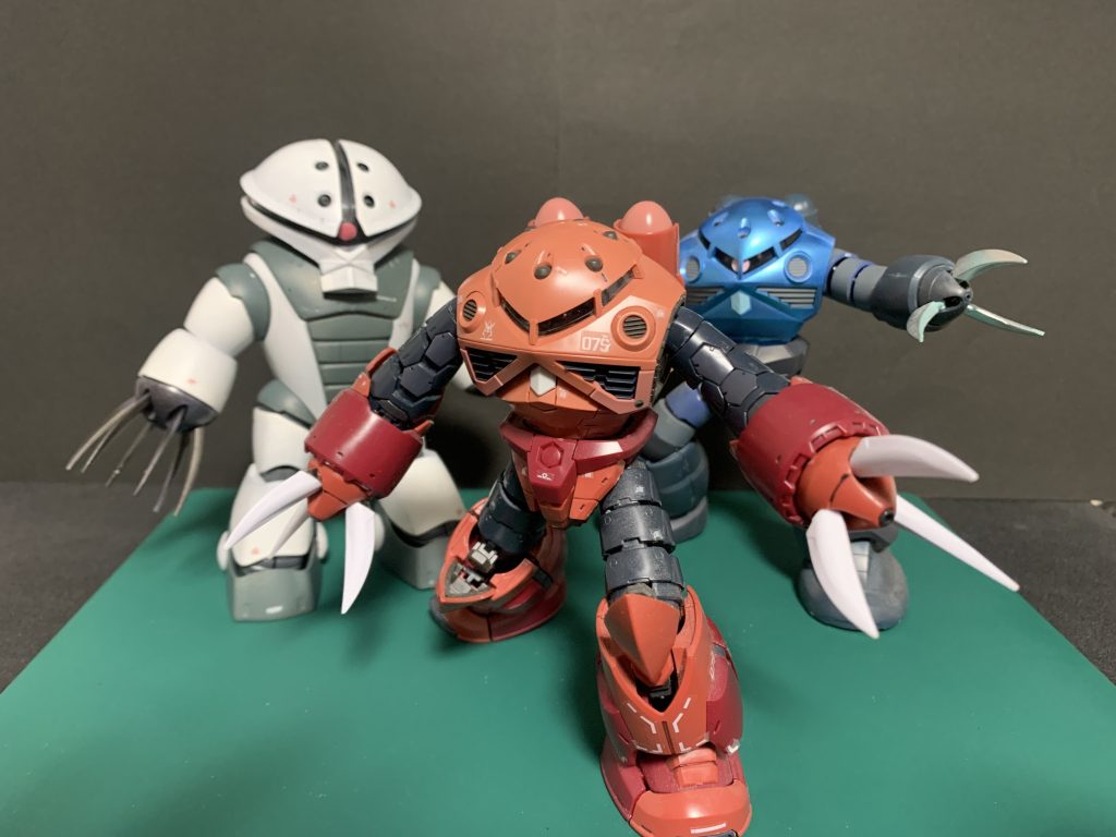 うちの水泳部さんたち。