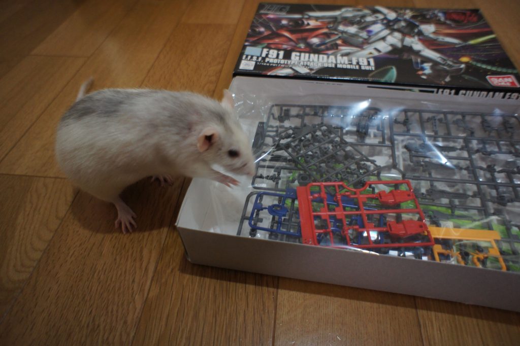 部品チェック。