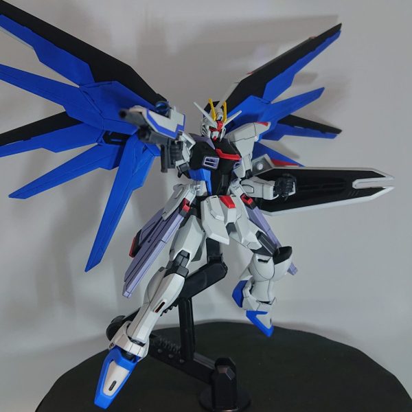 HGCE フリーダムガンダム