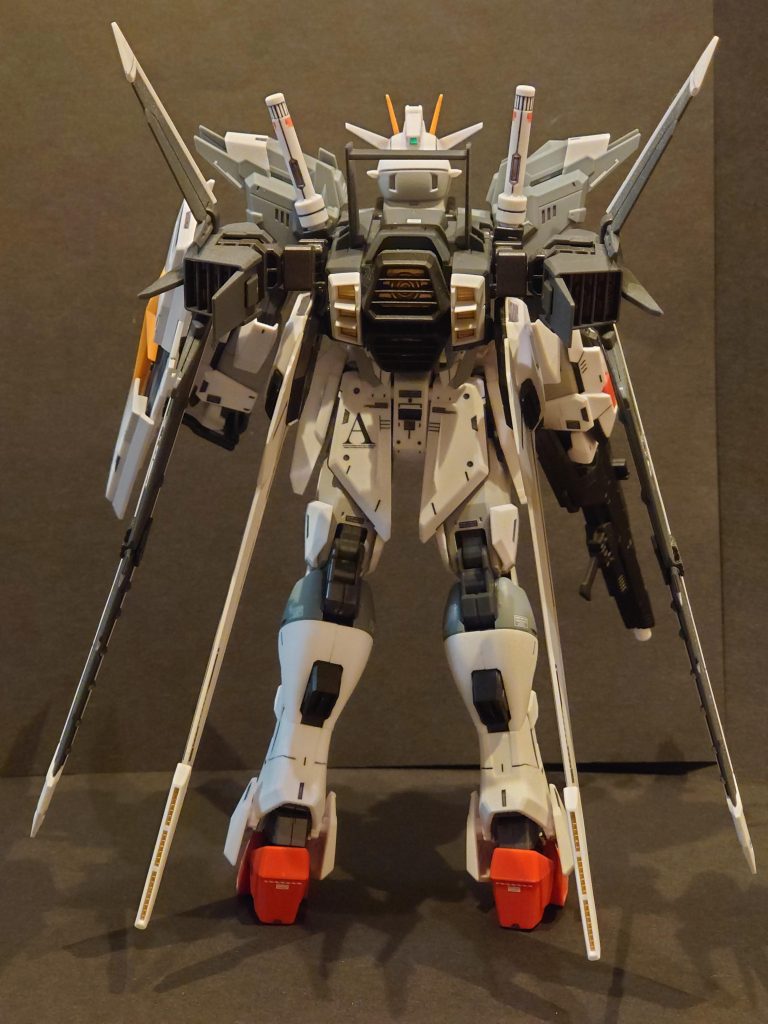 背面はエックスになるシルエットだそうな