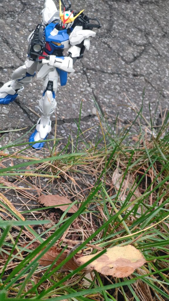 小さい秋発見!....にしては緑多いなとなりこれもカット。