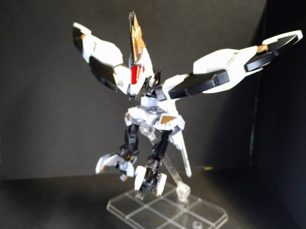 トップゲイラー