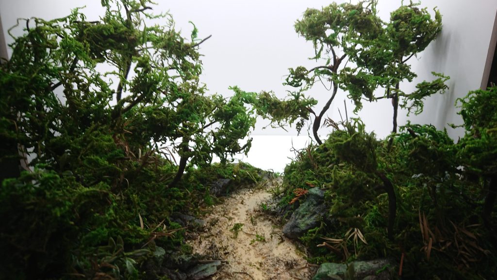 なかはこんな感じ沢が好きなのでぬかってる感じにしました光の調整をすると。。。