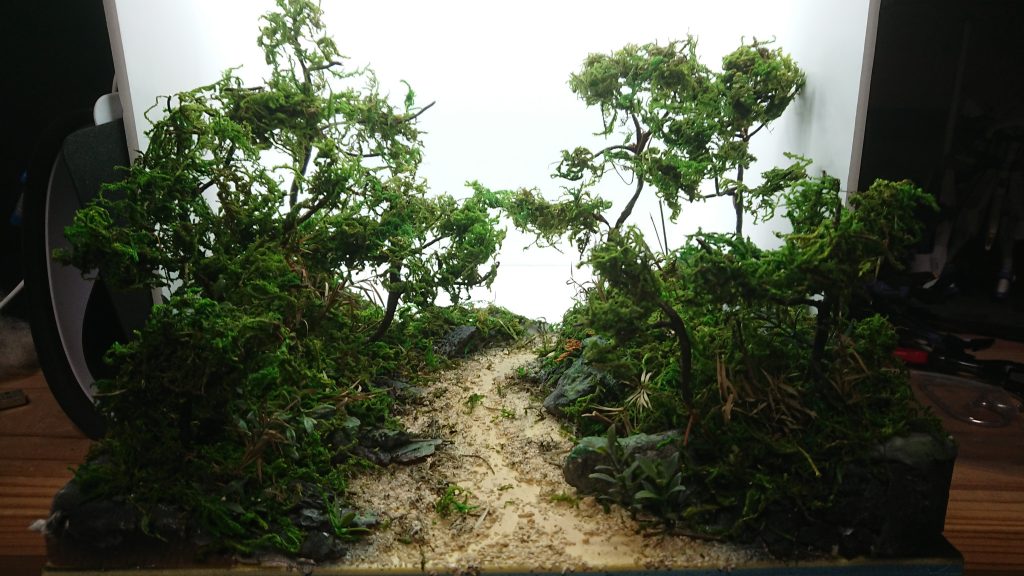 小さな密林が生まれました❗今後もガンプラ密林が合うの完成したら、ちょこちょこでてきますお楽しみに‼️