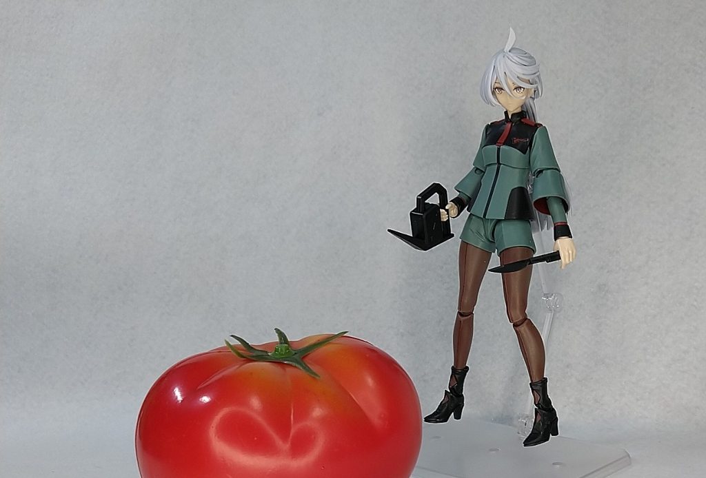 100均の1/1トマト、、、