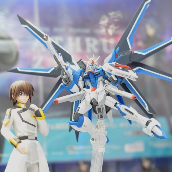 HGライジングフリーダム&イモータルジャスティス