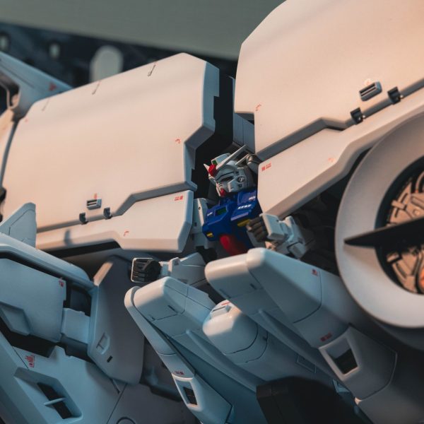 HG デンドロビウム