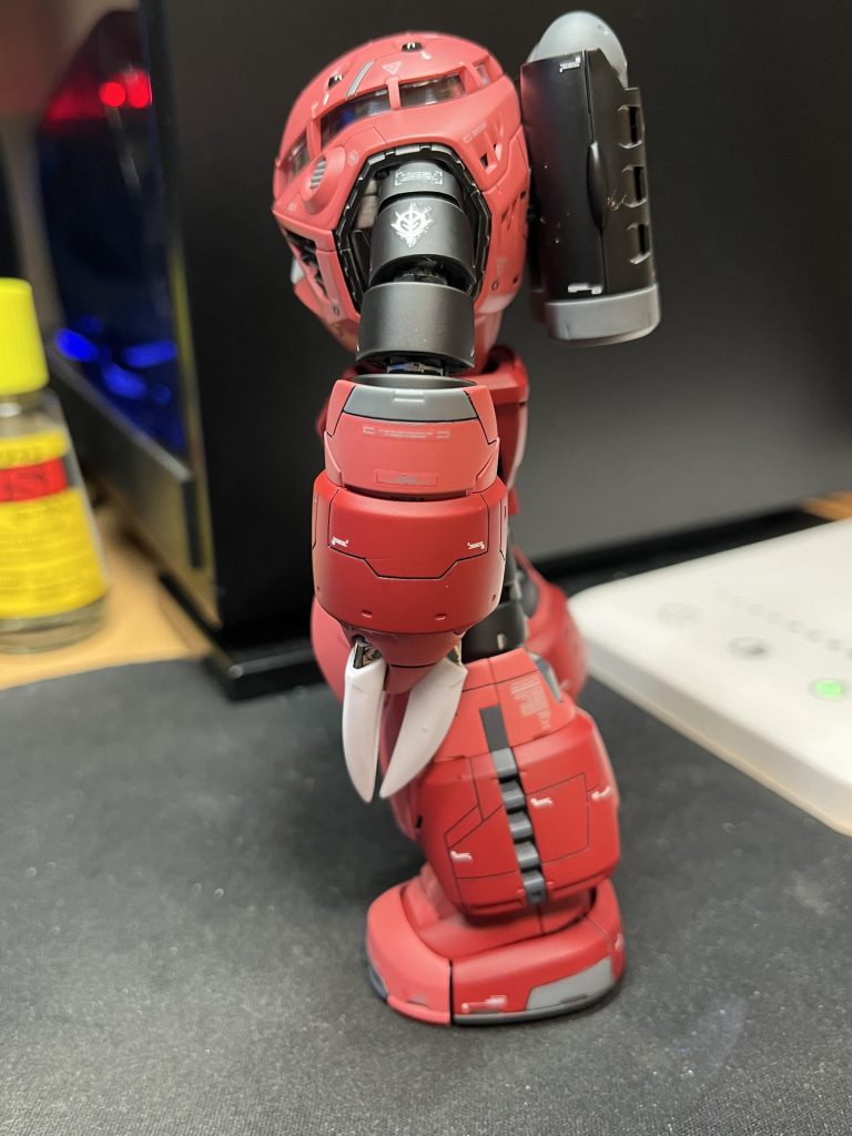 初RG ズゴック全塗装–3枚目/制作者：メイケイ