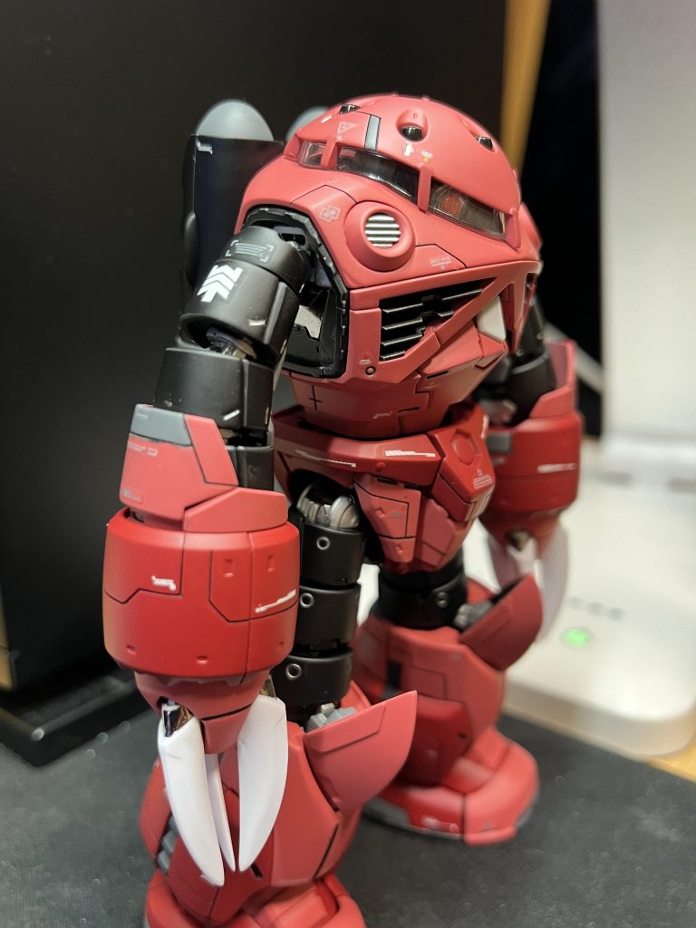 初RG ズゴック全塗装–2枚目/制作者：メイケイ