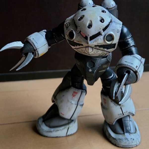 ズゴックで練習