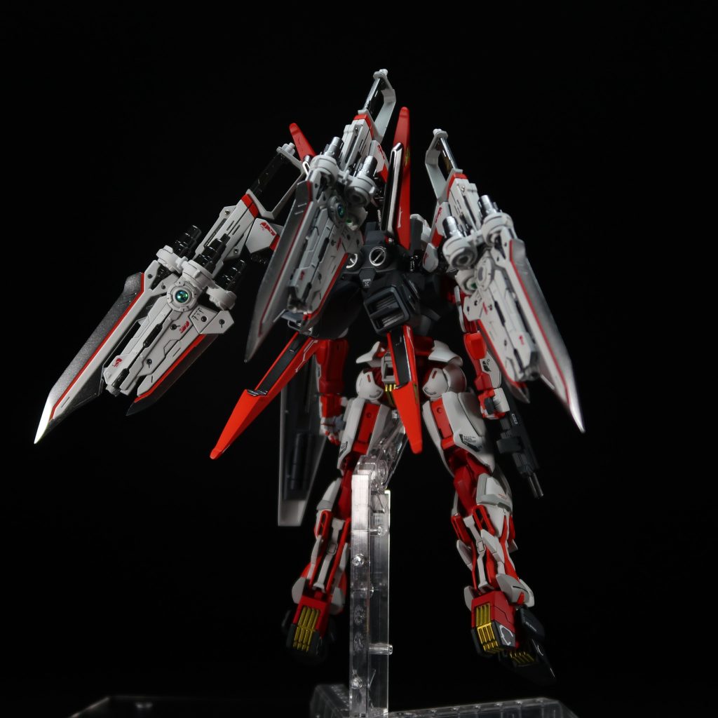 レッドドラゴン背面迫力がすごい、、、、