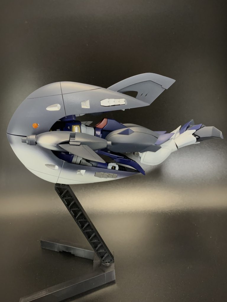 写真は撮り方で誤魔化していますが、まぁ体型は縦にどっぷりしているので、シャチというよりはマンボウ•••色でギリ、シャチに見えるかなといった感じです。