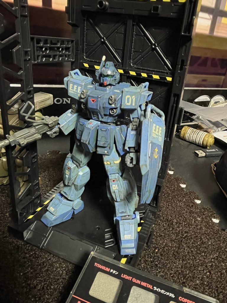 そもそもブルーディスティニーはジム？？