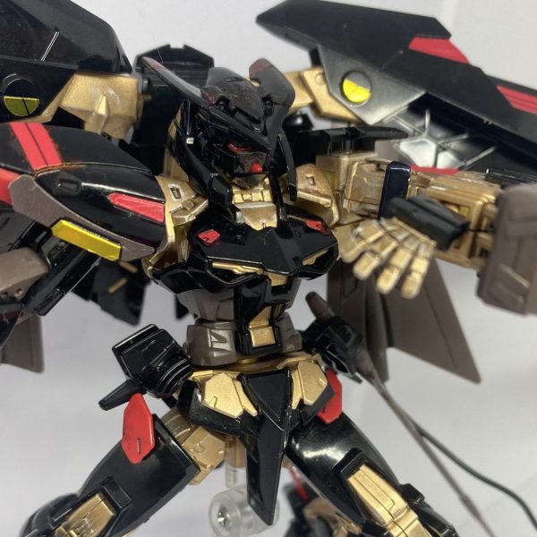 ゴールドフレーム 天ミナ