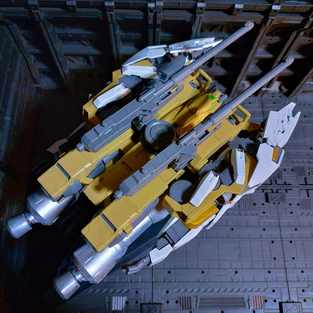 ワニちゃんタンク上から