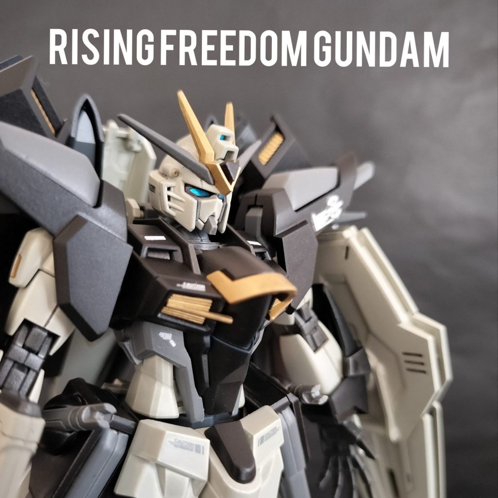 GNF グフ　サザビー　ライジング　フリーダム　ウィングガンダム　エピオン METAL ROBOT魂 ＜ SIDE MS ＞ ライジングフリーダムガンダム