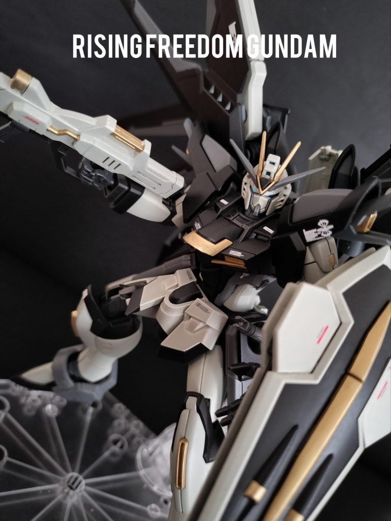 ライジングフリーダムガンダム　ザフト配属カラー–2枚目/制作者：ちゃこダム