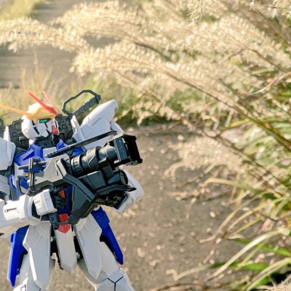 秋の撮影任務、遂行中！