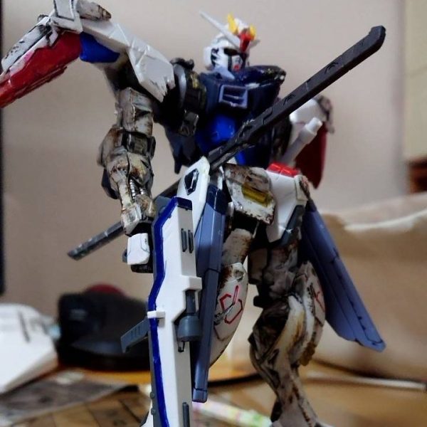 没機体　フリーダムガンダムビアヴォリィ