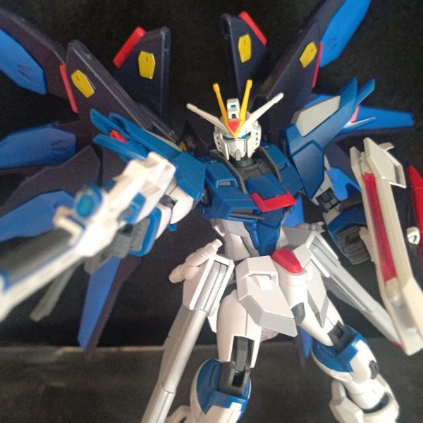 PACIKUMI  ライジングフリーダムガンダム