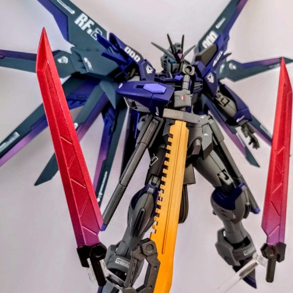 フリーダムLR2枚 STTS-910 COMPASS MOBILE SUIT ライジングフリーダムガンダム 2