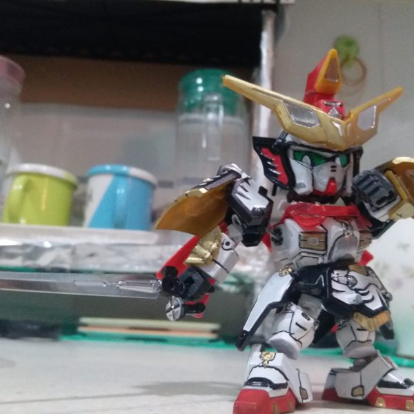 三国伝 孫堅ゼフィランサス