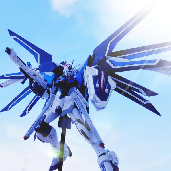 ライジングフリーダムガンダム