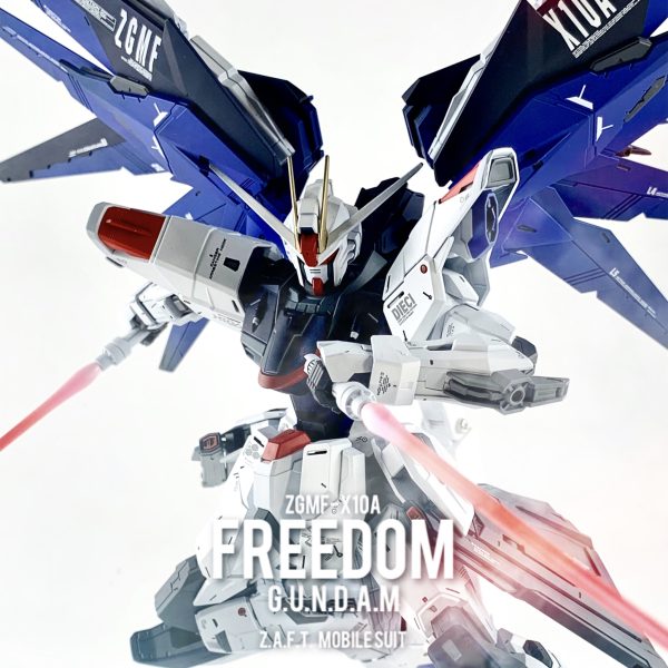ZGMF-X10A  フリーダム