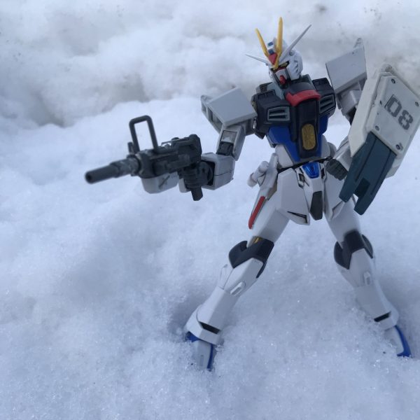 ブルーディスティニー新型