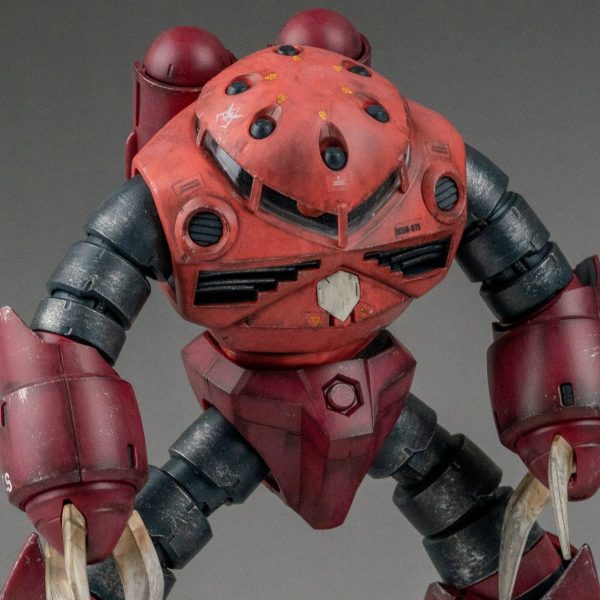 MG シャア専用ズゴック