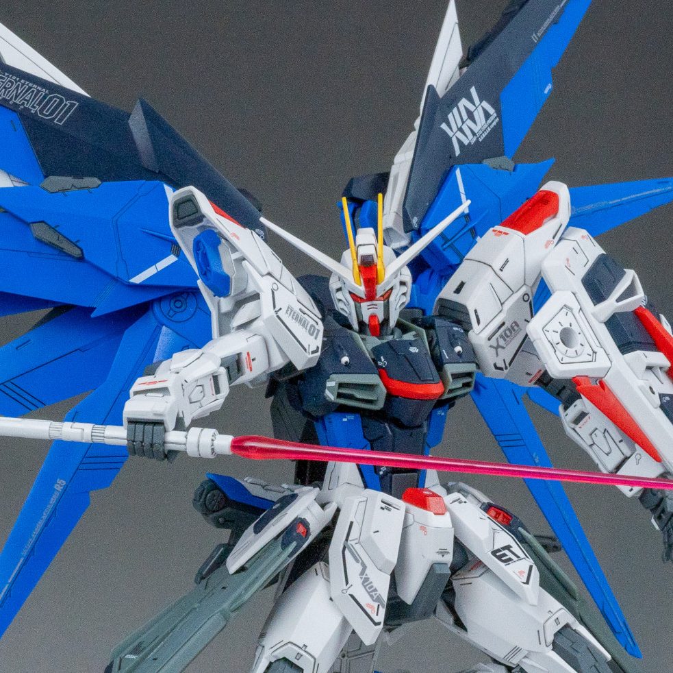 MG フリーダムガンダム Ver.2.0｜M.マウス Ver.Leさんのガンプラ作品 