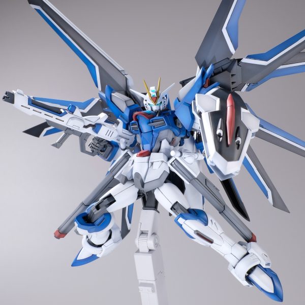 HGCEライジングフリーダム