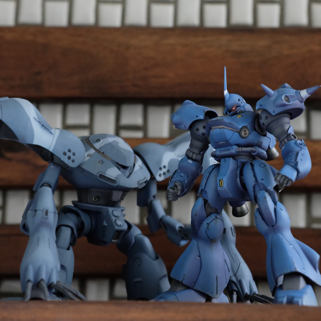 ケンプファー/ハイゴッグ（HG）–4枚目/制作者：cat00128