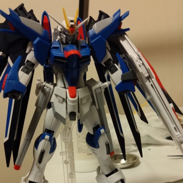 ライジングフリーダム