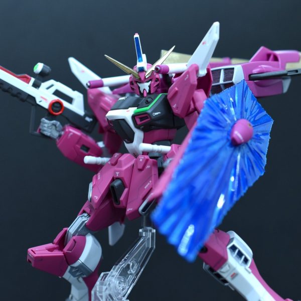 HGCE インフィニットジャスティス