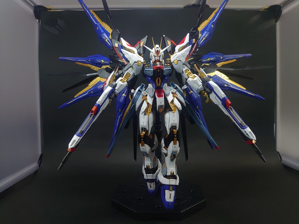 降臨ポーズも✨