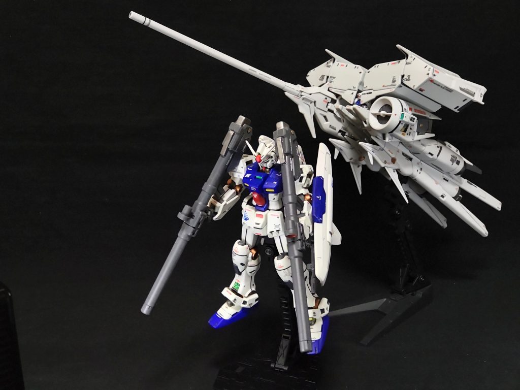 HGメカニクスのデンドロビウムと撮影。