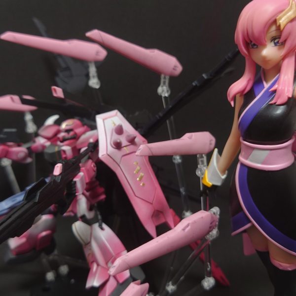 ラクスクライン専用ストライクフリーダムザクウォーリア