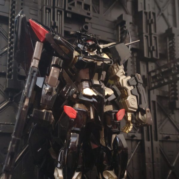 HG 1/144 GUNDAM ASTRAY GOLD FRAME 天ミナ